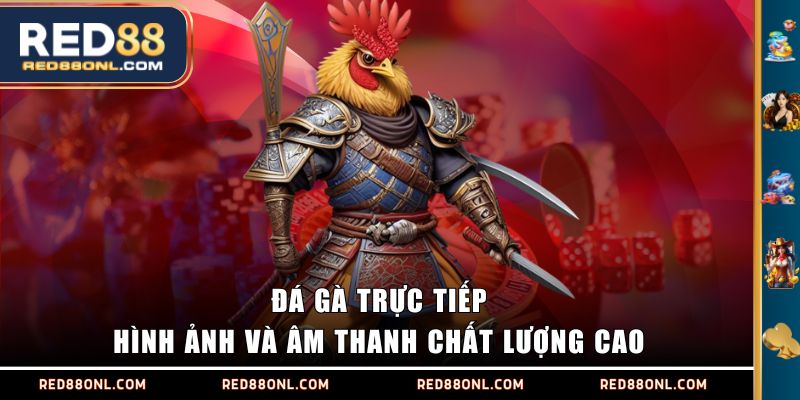 Đá gà trực tiếp hình ảnh và âm thanh chất lượng cao