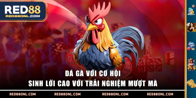 Đá Gà với cơ hội sinh lời cao với trải nghiệm mượt mà