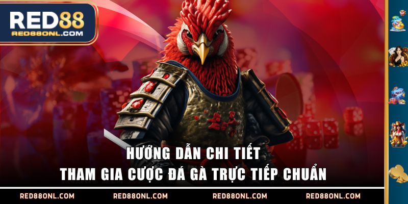 Hướng dẫn chi tiết tham gia cược đá gà trực tiếp chuẩn