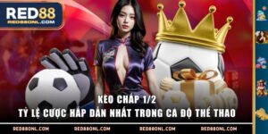 Kèo chấp 1/2