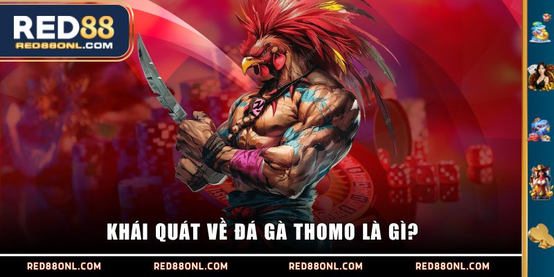 Khái quát về đá gà Thomo là gì?