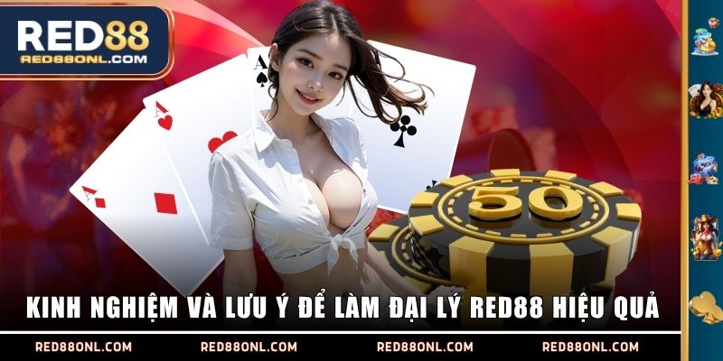 Kinh nghiệm và lưu ý để làm đại lý RED88 hiệu quả