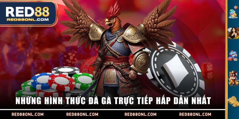 Những hình thức đá gà trực tiếp hấp dẫn nhất