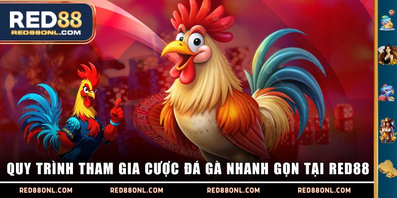 Quy trình tham gia cược Đá Gà nhanh gọn tại RED88