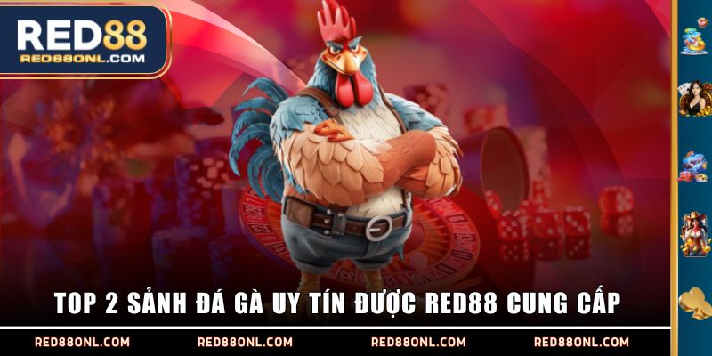 Top 2 sảnh Đá Gà uy tín được RED88 cung cấp